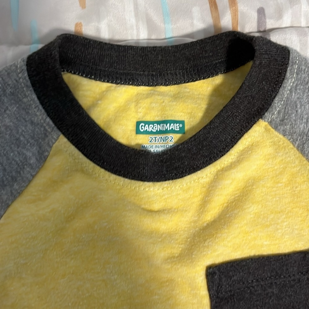 Toddler Boys T-Shirts - Picture 2 of 3